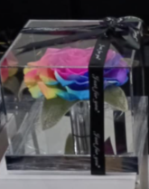 Luxury Forever Rose in Acrylic Box - colurful