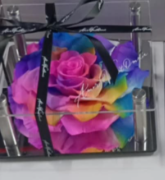 Premium Rose Gift Box -colorful