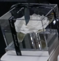 Luxury Forever Rose in Acrylic Box - white