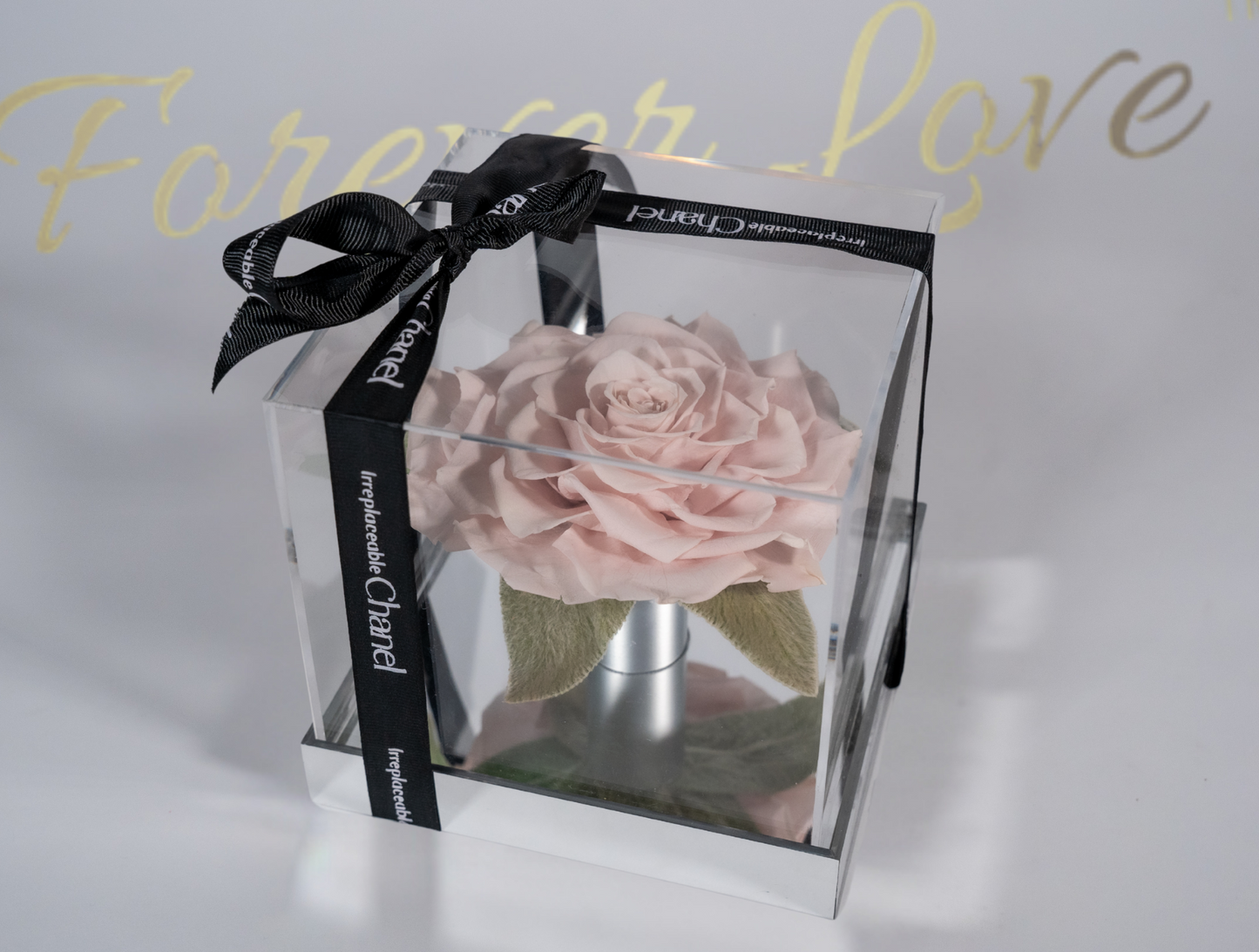 Luxury Forever Rose in Acrylic Box - champagne