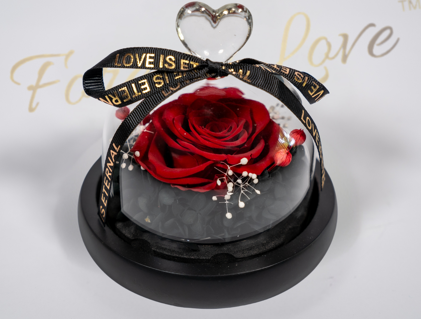 Forever Real Rose in Glass Dome - RED