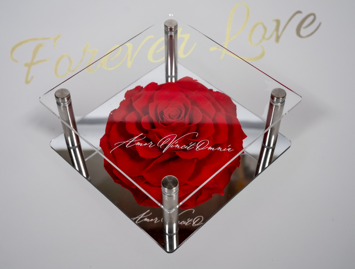 Premium Rose Gift Box -red