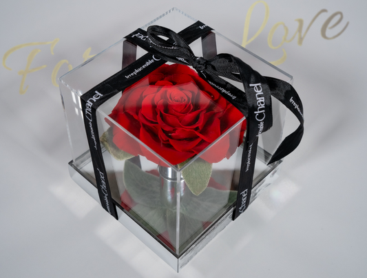 Luxury Forever Rose in Acrylic Box - RED