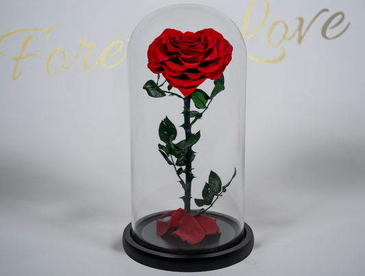 Heart-Shaped Rose in Glass Dome - red