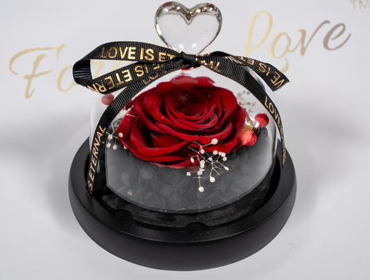 Forever Real Rose in Glass Dome - RED
