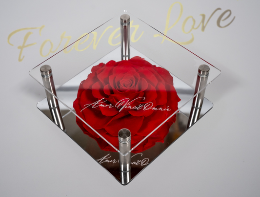 Premium Rose Gift Box -red