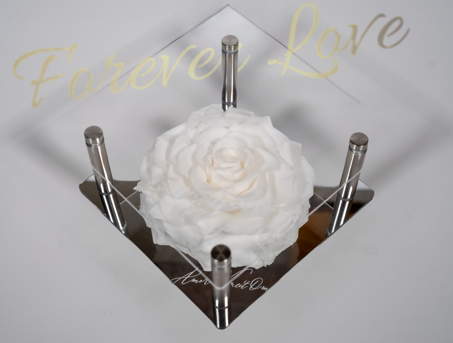 Premium Rose Gift Box - white